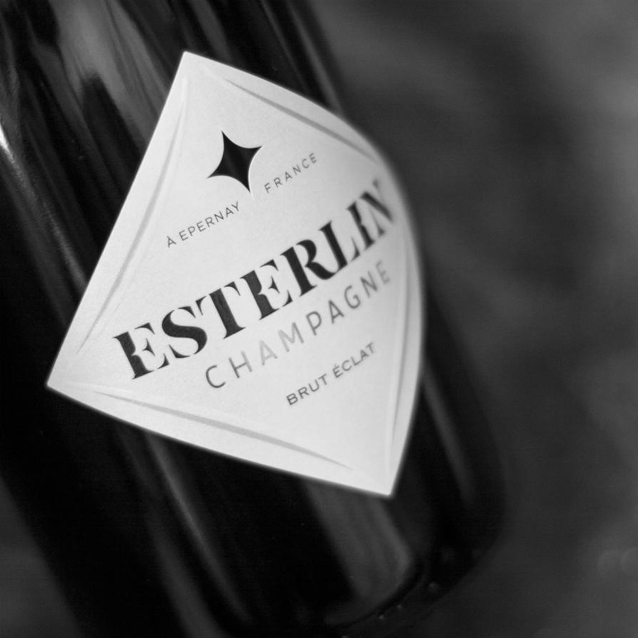 Champagne Esterlin Brut Eclat acquista online